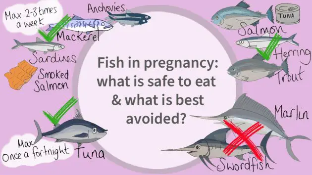 Fish in pregnancy: what is safe to eat & what is best avoided
