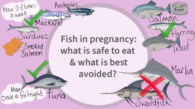 Fish in pregnancy: what is safe to eat & what is best avoided